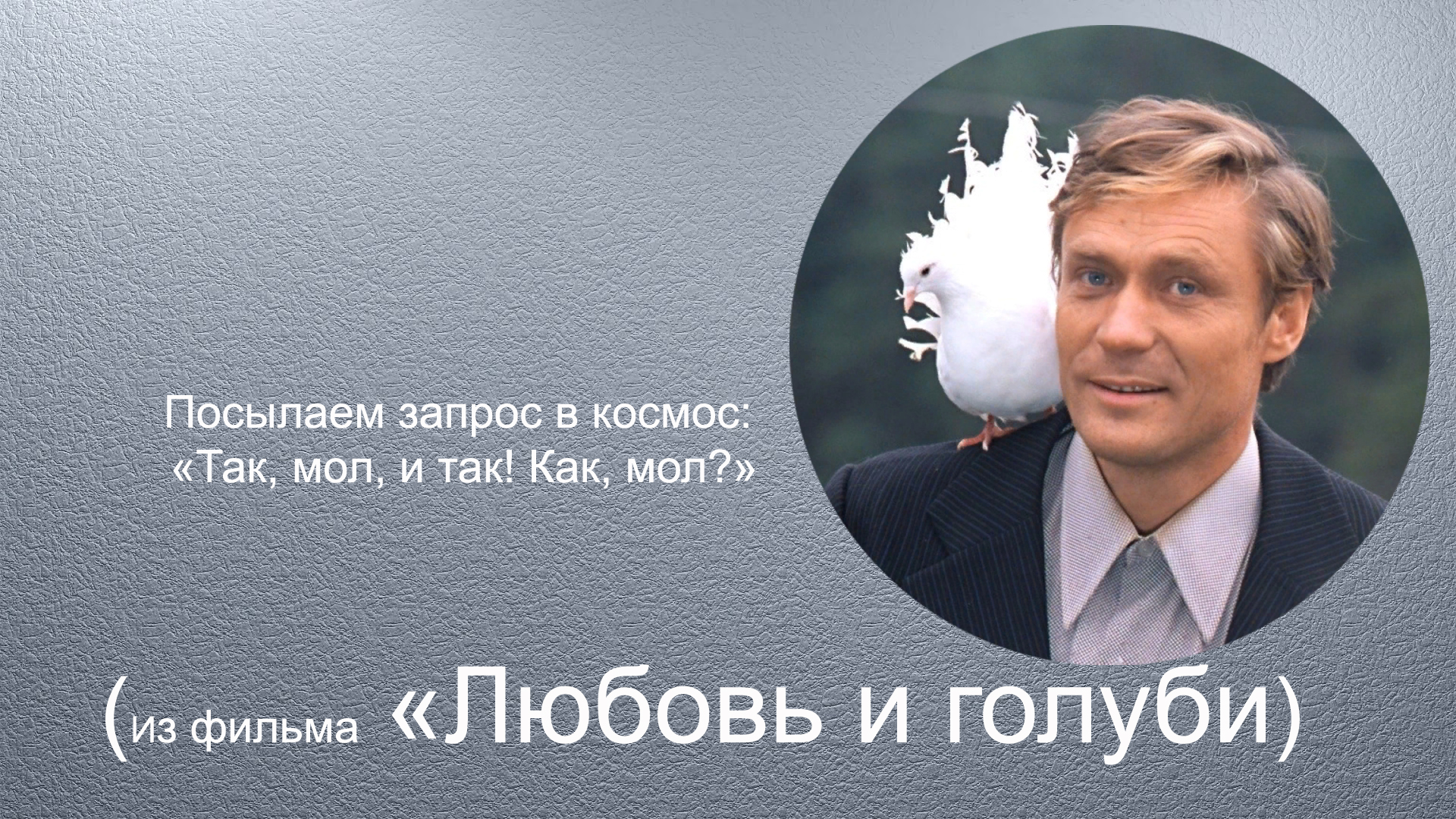 Семь сцен было вырезано»: Как снимался фильм «Любовь и голуби»? — Татьяна  Маркинова